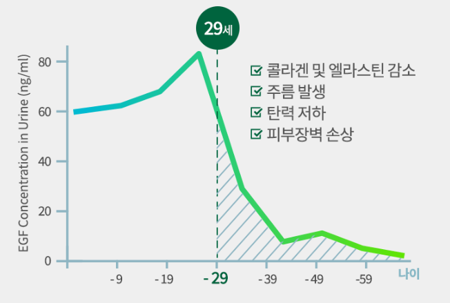 연령대별 EGF 농도그래프