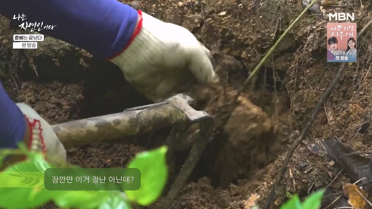 나는 자연인이다.E616.240732p-NEXT.mp4_20240801_195128.122.jpg