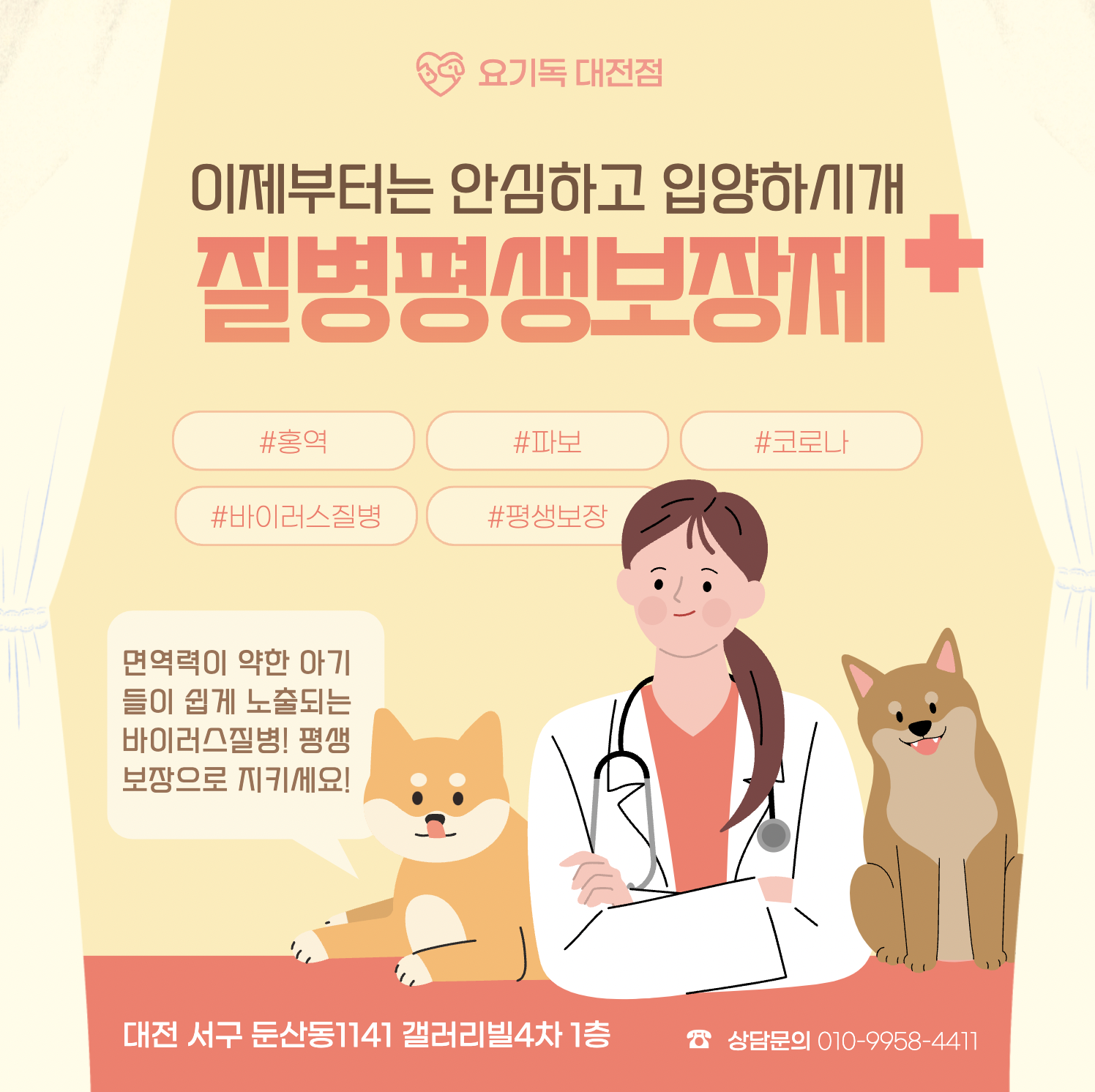  대전강아지분양 3대질병 평생보장제 건강한 아가들만 만나보세요