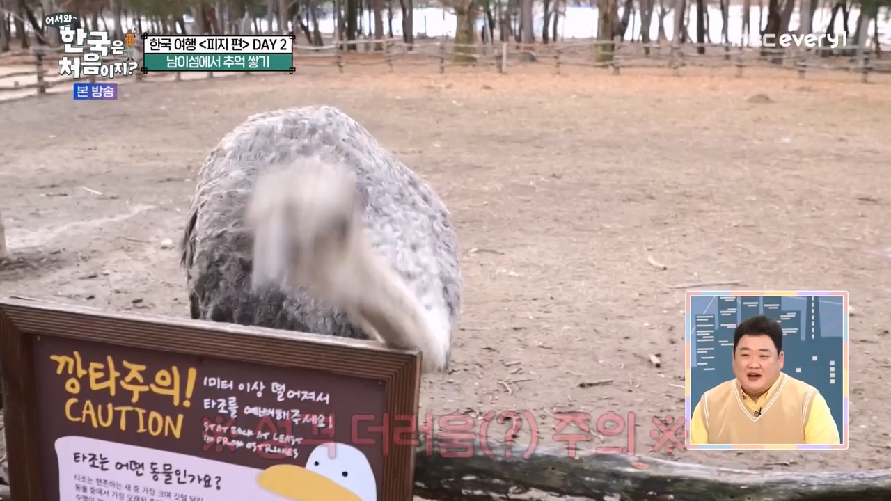 어서와 한국은 처음이지 시즌2.E299.240126p-NEXT.mp4_20240126_202330.112.jpg