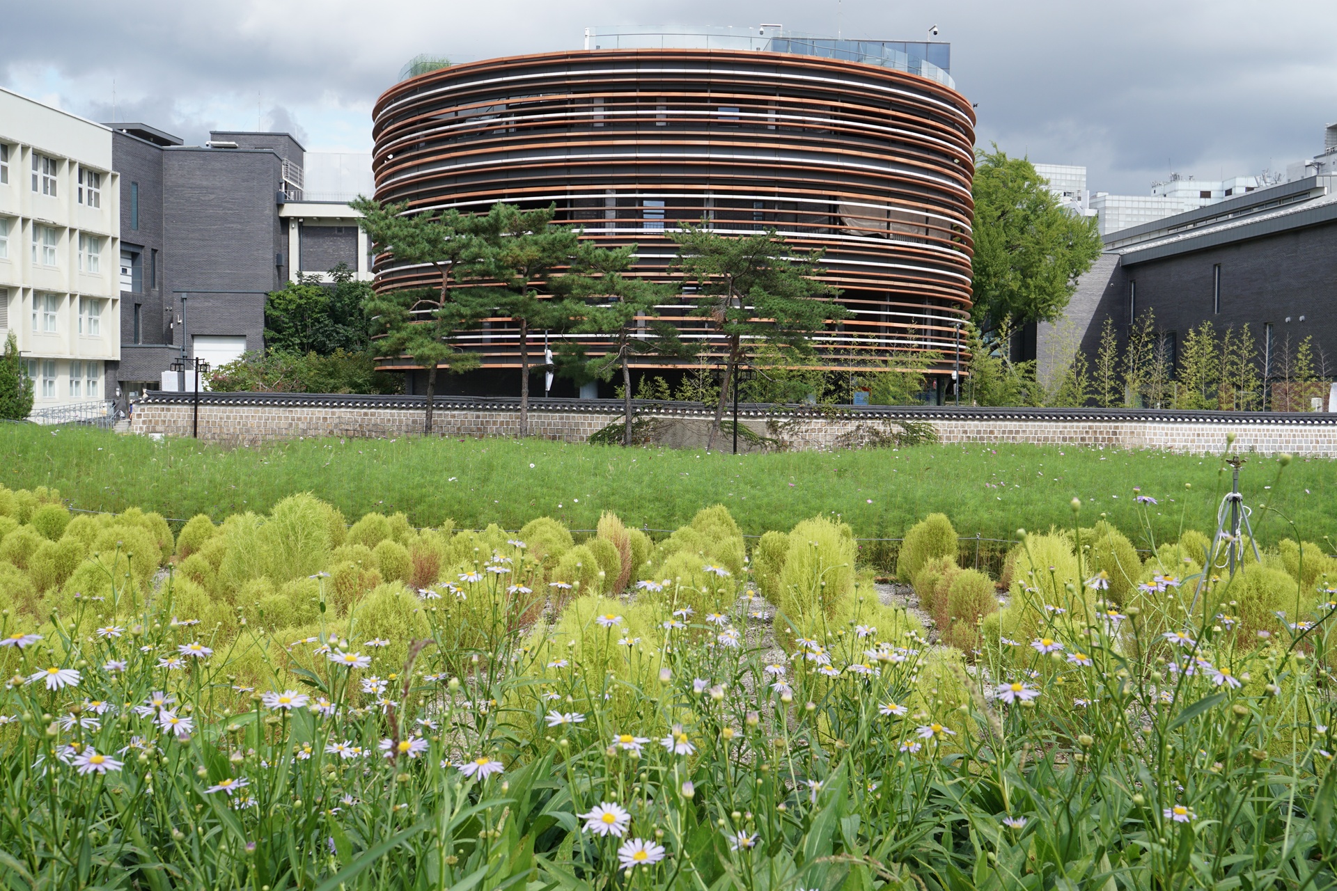 송현공원 이미지
