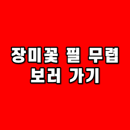 대표사진