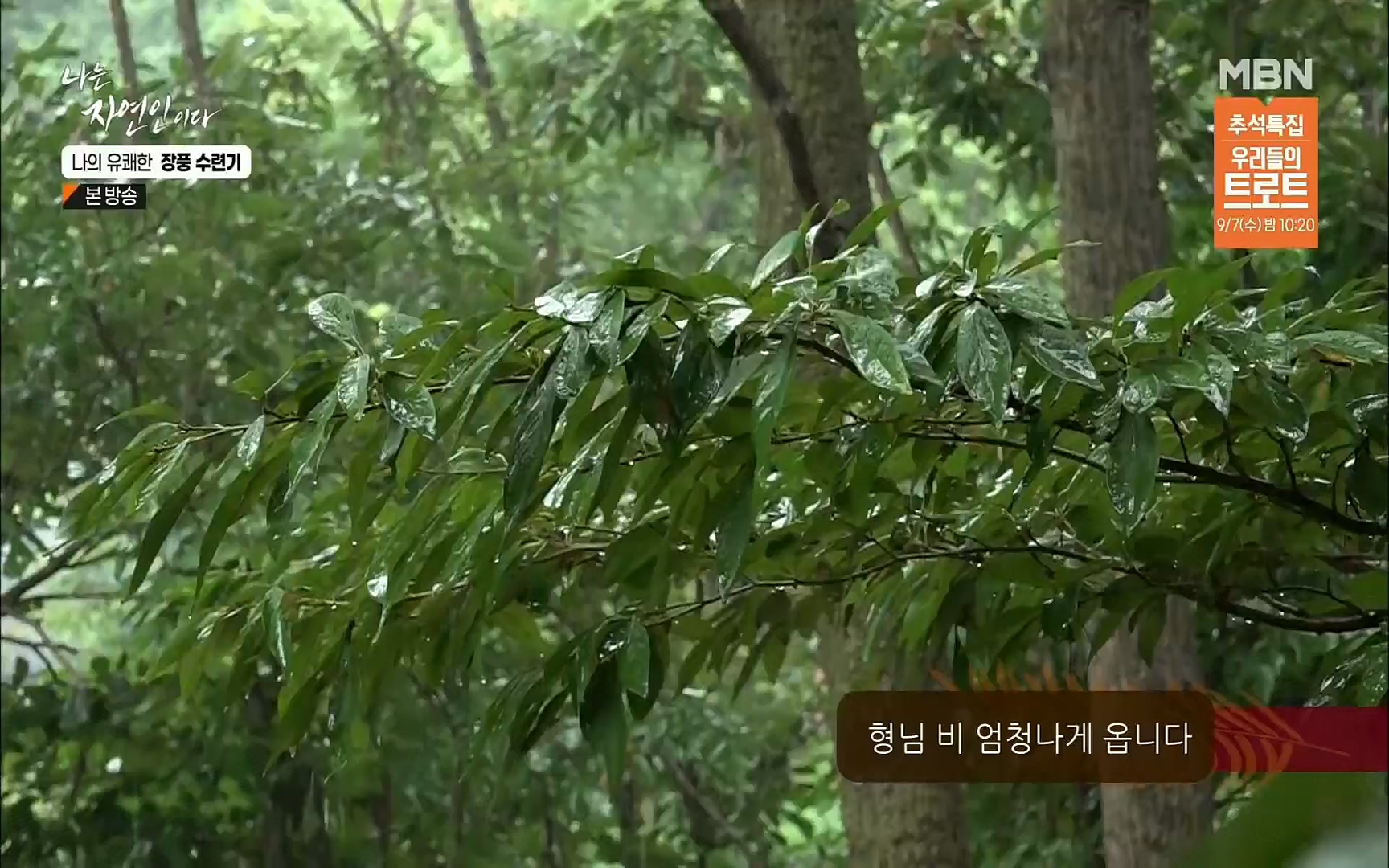 나는 자연인이다.E517.220831p.H264-F1RST.mp4_20220901_201005.366.jpg