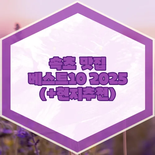 속초 맛집 베스트10 2025 (+현지추천)