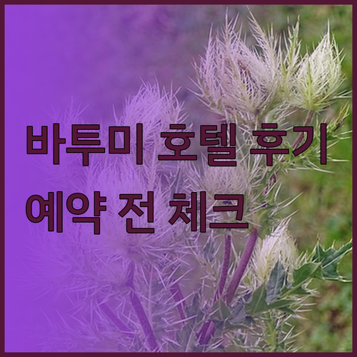 바투미 호텔 예약 전 필독! GT 바