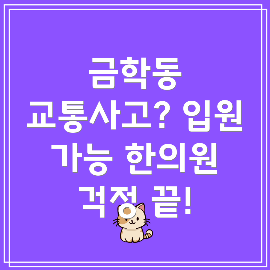 공주시 금학동 교통사고 한의원