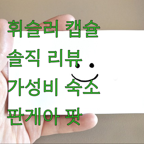 휘슬러 캡슐 호텔 체험기 판게아 팟 