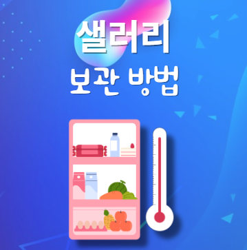 샐러리 보관법