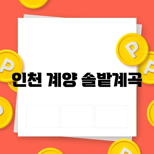 솔밭 이미지