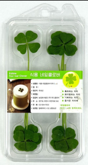 행운 이미지