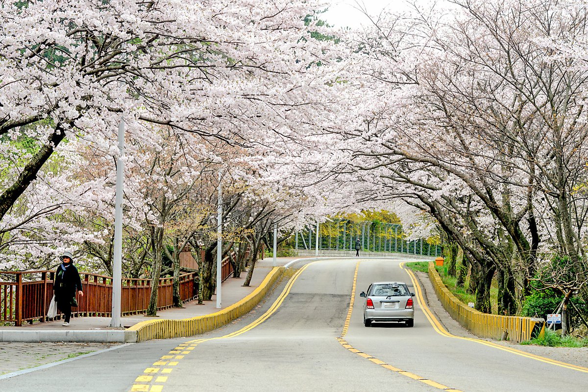 부산 근교 드라이브 코스 BEST 5 추천 (+ 야간 명소)