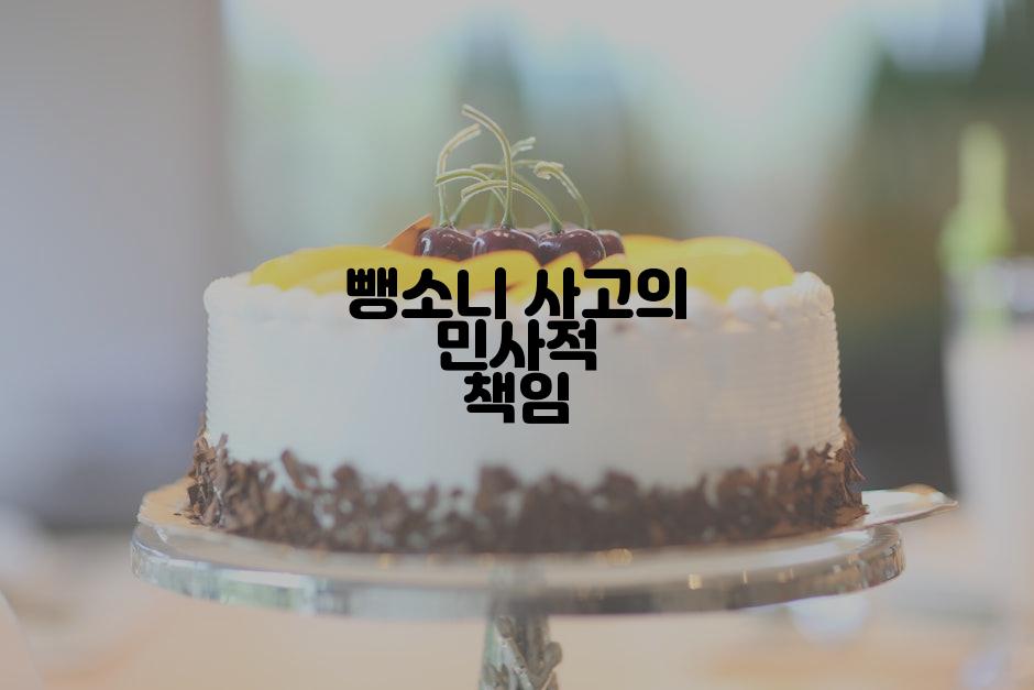뺑소니 사고의 민사적 책임