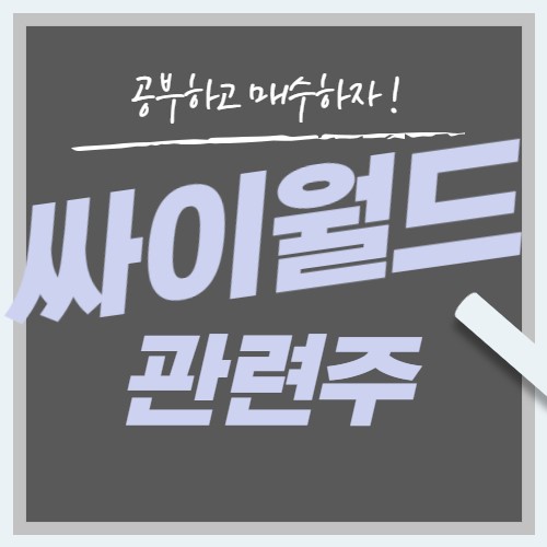  싸이월드 관련주 대장주 6종목