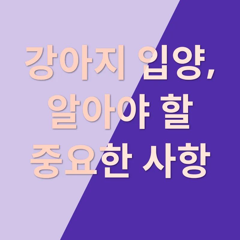 강아지입양_2