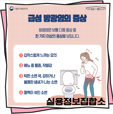 남자방광염증상