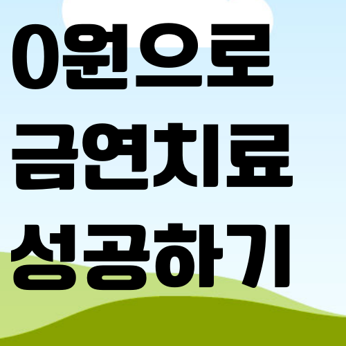 국가부담금연프로그램