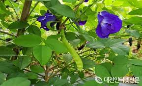 오인식품 이미지
