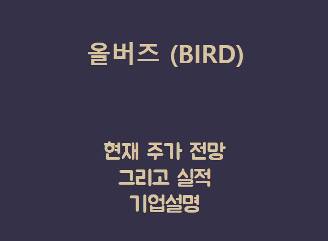  올버즈 (BIRD) 친환경 신발인데 편하네.