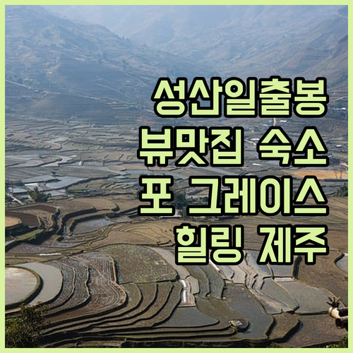 성산일출봉 뷰 맛집 숙소 추천! 더 