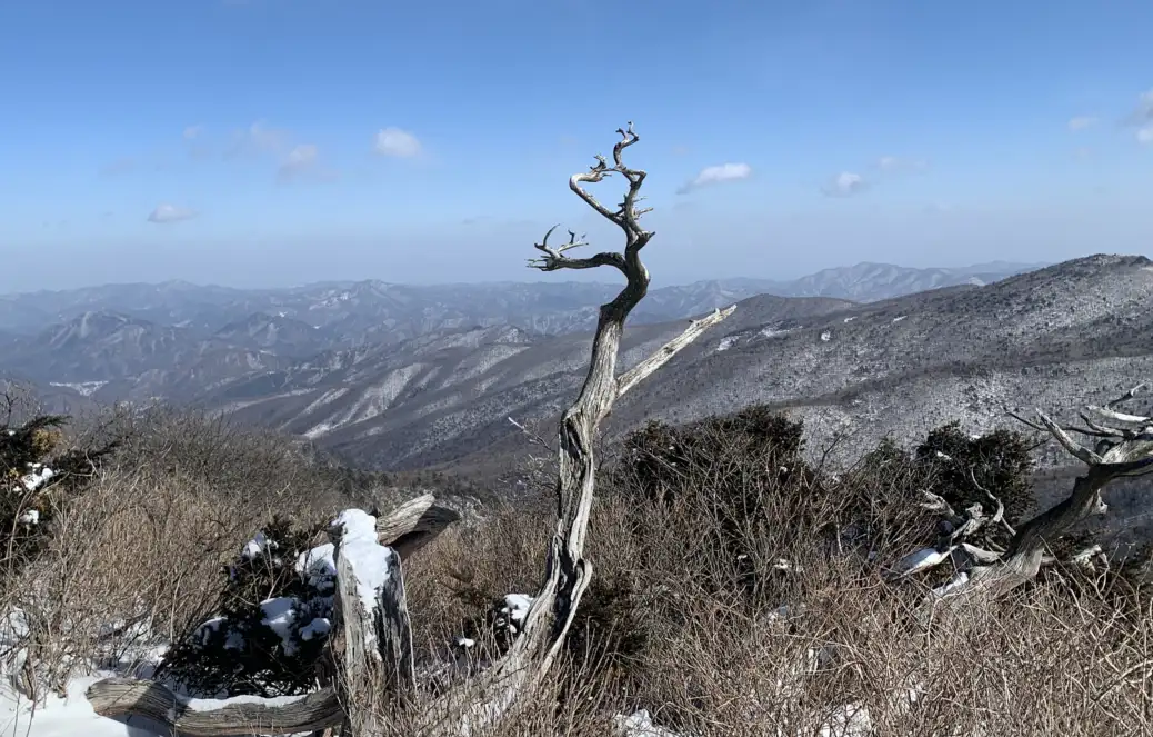 장군봉에서 본 전경