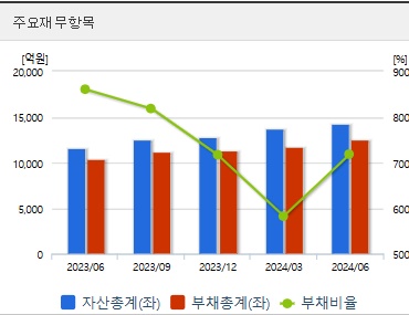 티웨이항공 주가 전망 재무지표 (1027)