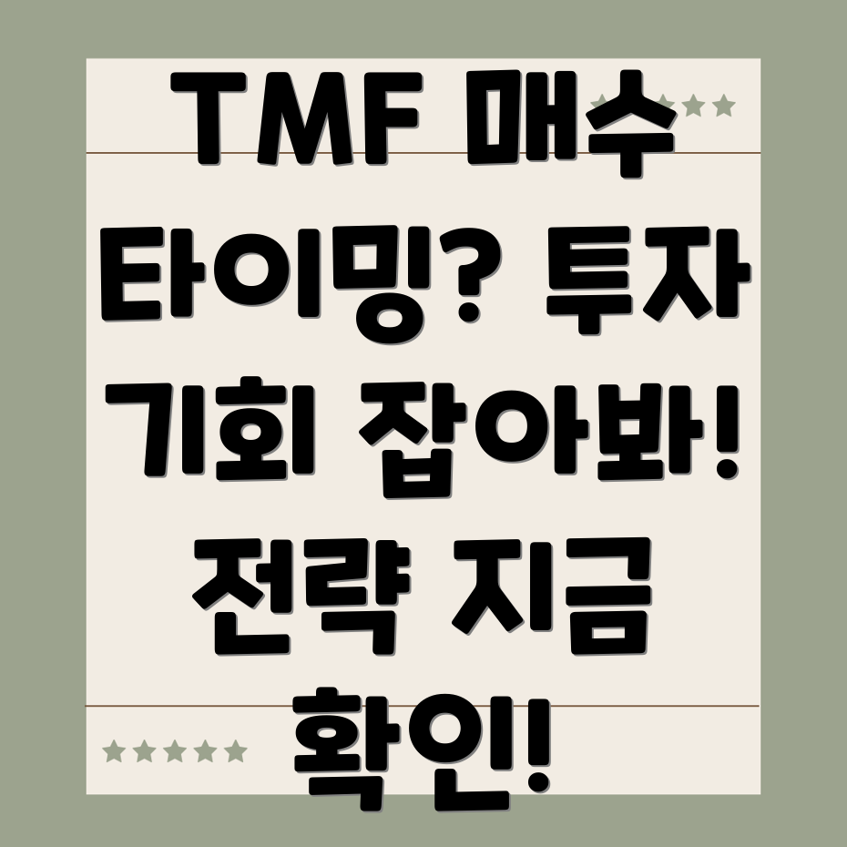 미국 채권 ETF TMF