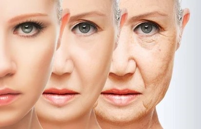 얼굴의 노화 변화와 얼굴 노화 방지 예방법
