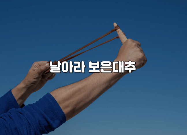 보은 대추축제 일정&amp;#44; 정보 총정리