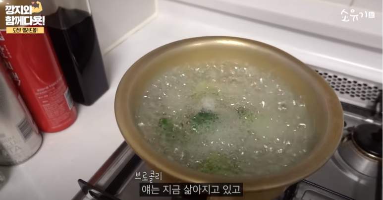 경도비만탈출 소유기에서 밝힌 소유 다이어트 17