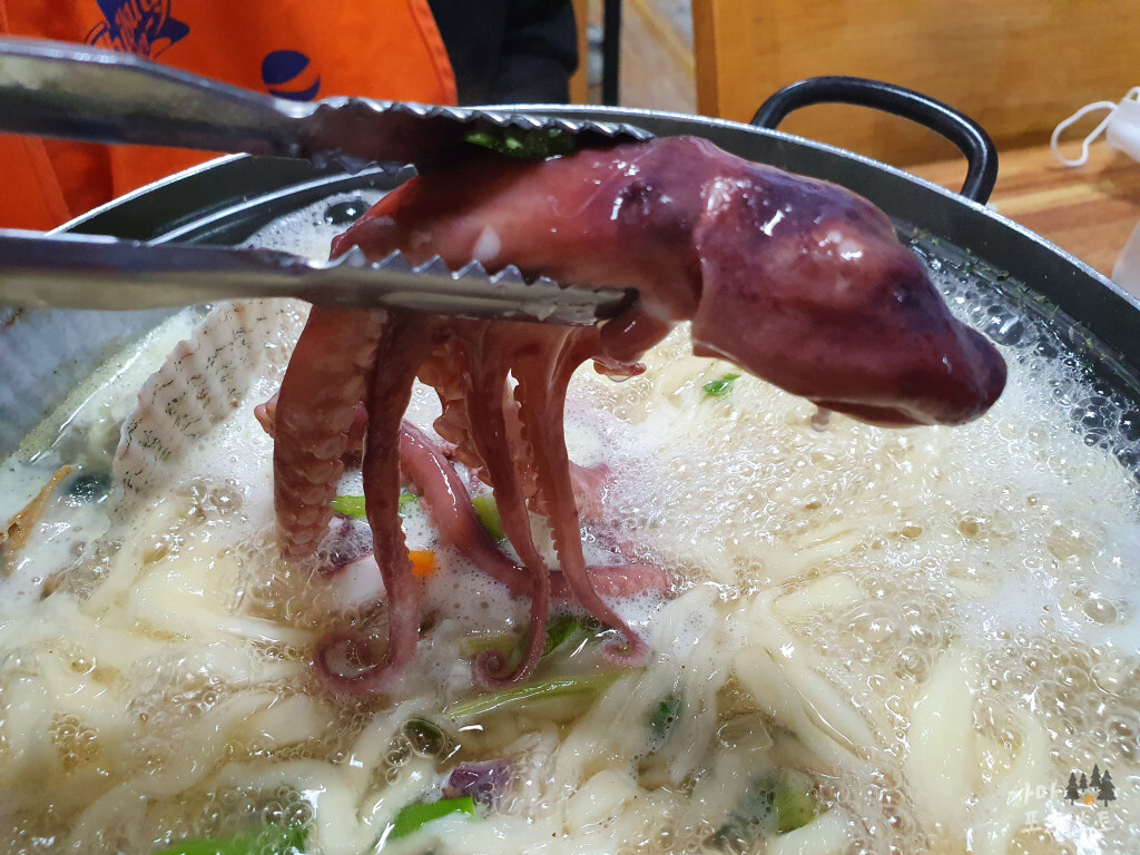 참맛 손 칼국수 낙지