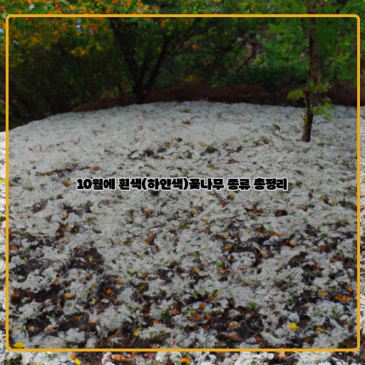  단풍이 난 땅에 피어나는 하얀색 꽃들, 10월에 만나는 흰색 꽃나무 종류 총정리