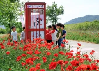5월 경남 부산 근교 가볼만한곳 베스트10 명소_2