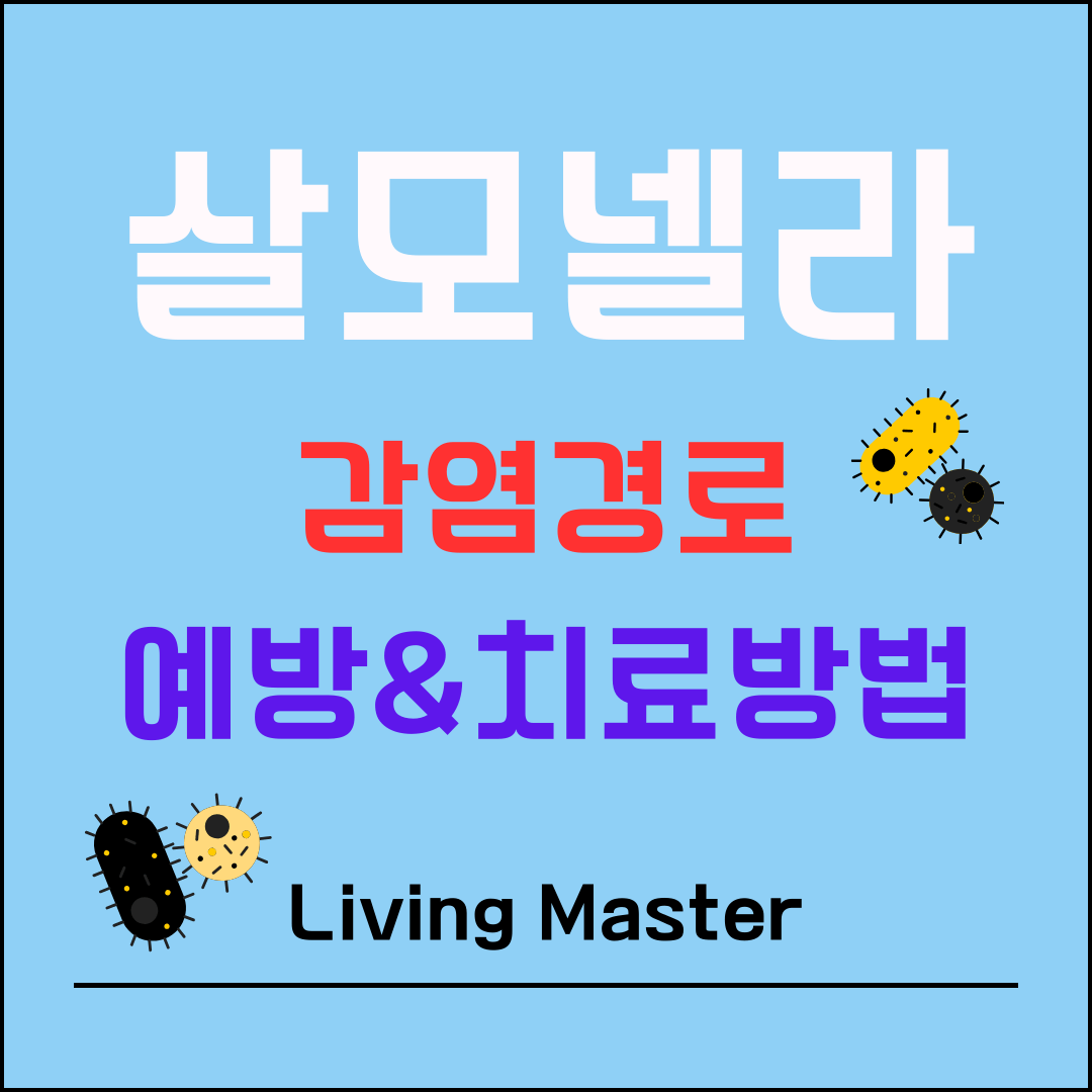 살모넬라 감염경로,예방,치료방법