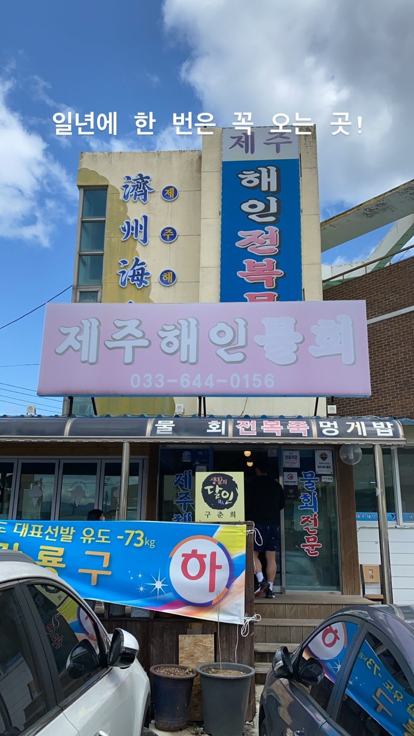  [강릉 맛집] 비빔밥과 물회 맛집 제주해인물회 비린 것 못 먹는 마늘 세끼도 먹는 곳