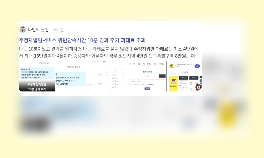 주정차 위반 과태료_3_subsection