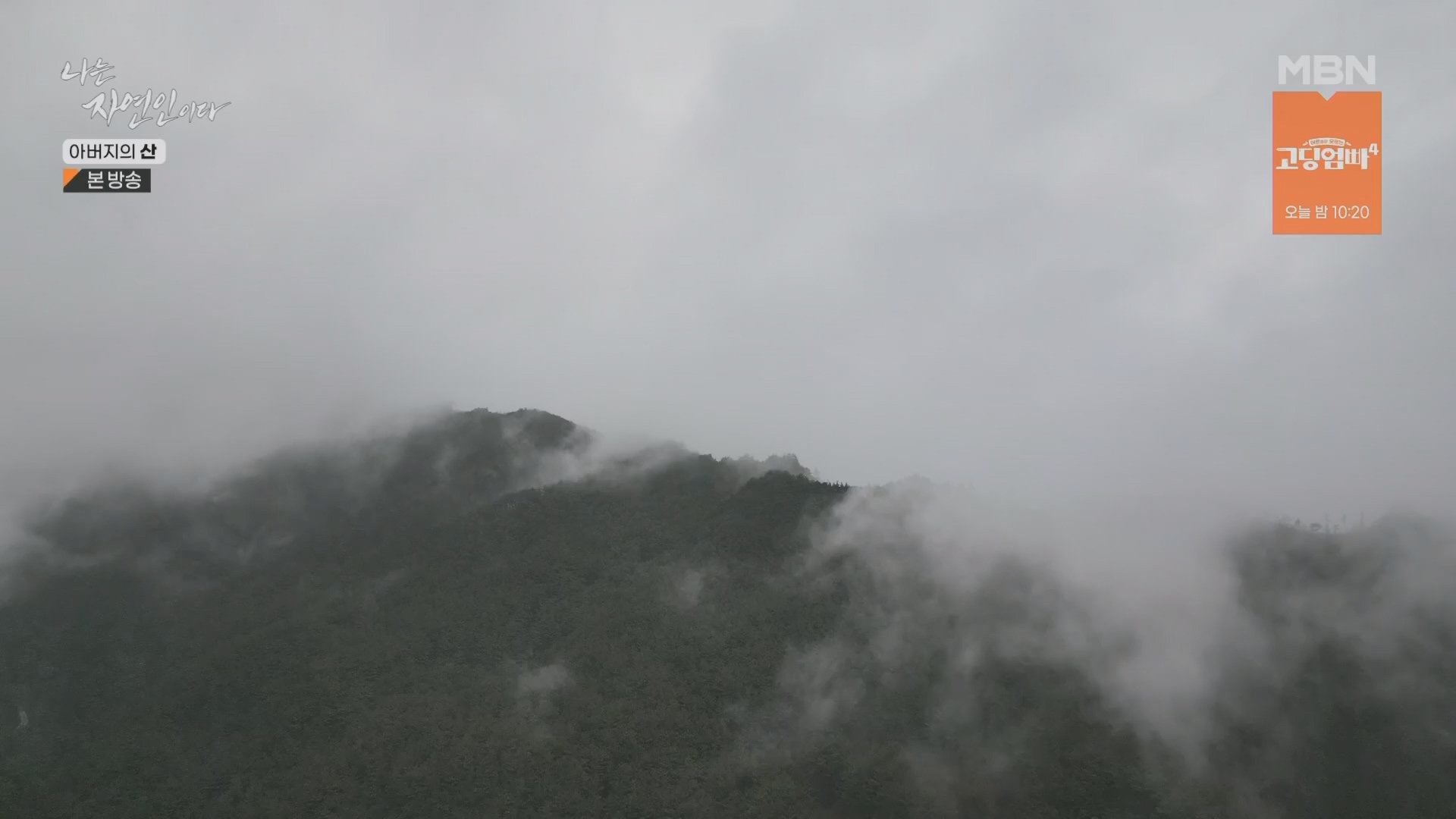 나는 자연인이다.E595.240228p.H264-F1RST.mp4_20240229_200111.935.jpg