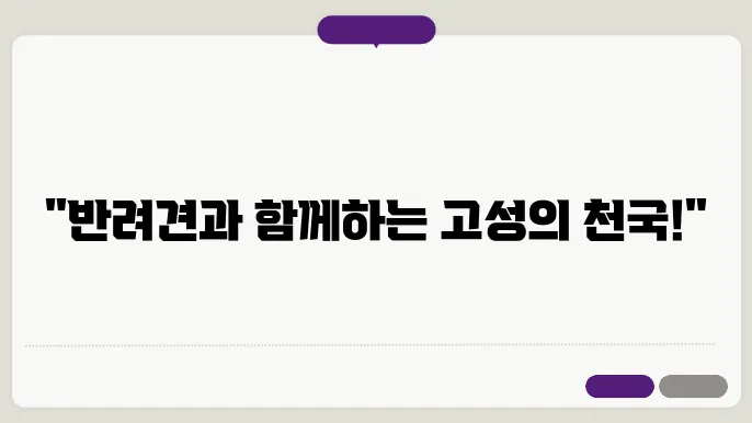 고성 애견동반 펜션