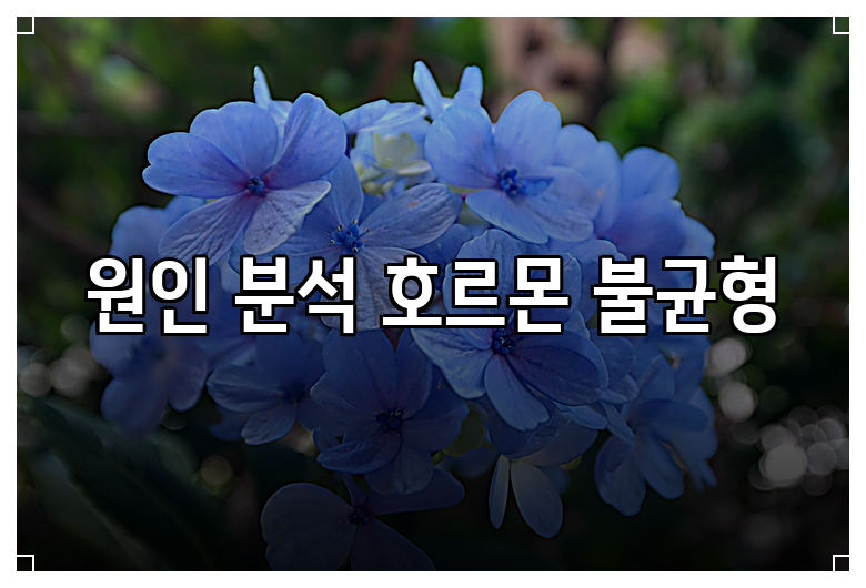 원인 분석 호르몬 불균형