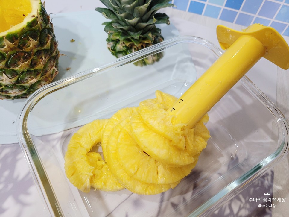 파인애플자르기 :: 칼 & 30