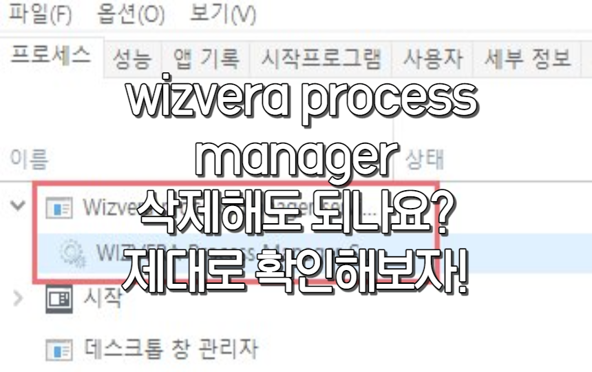  wizvera process manager 삭제해도 되나요? 제대로 확인하기!