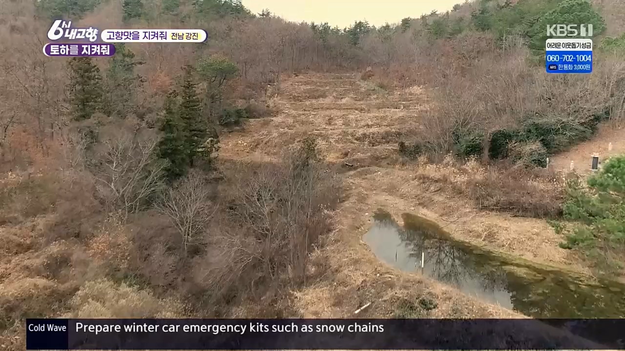 6시 내고향.E7687.221223p.H264-F1RST.mp4_20221229_204149.174.jpg