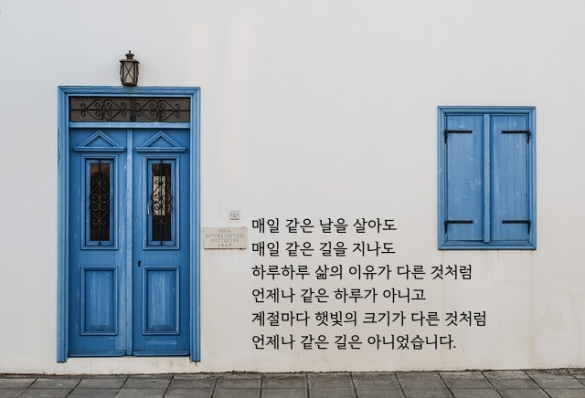 글 내용 일부가 들어간 이미지