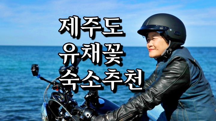  신계숙의 맛터 가이드 제주도 서귀포 유채꽃 억새밭 숙박 게스트하우스 펜션 예약 여행 코스 추천