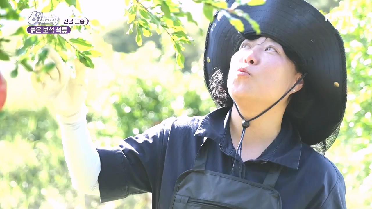 6시 내고향.E7892.231018p.H264-F1RST.mp4_20231018_194701.449.jpg
