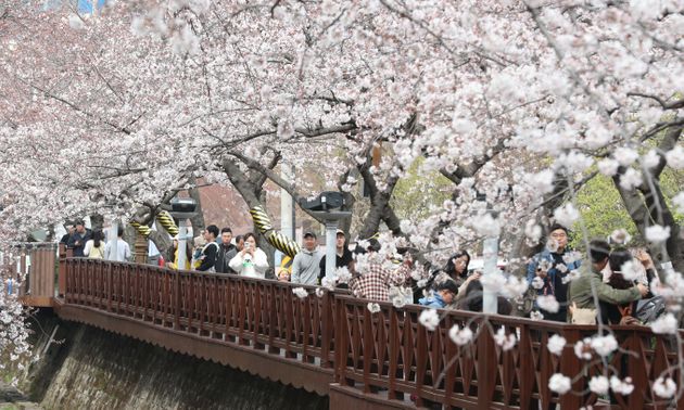 진해 군항제 벚꽃축제 안내 (2023 최신버전) 52