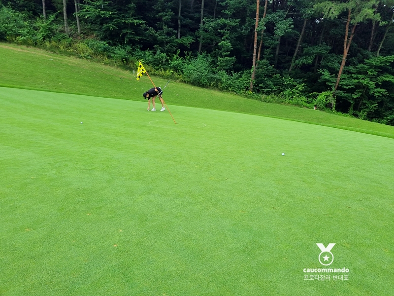 연예인 골프 순위 연예인들이 참여하는 3