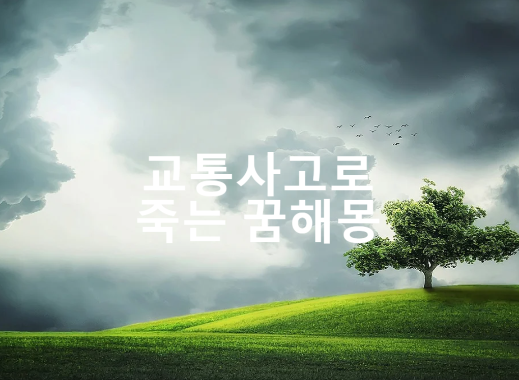  교통사고로 죽는 꿈해몽