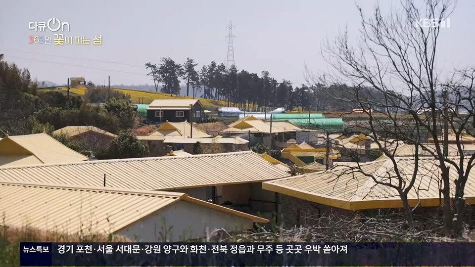 다큐 On.E201.230610p.H264-F1RST.mp4_20230611_165936.026.jpg