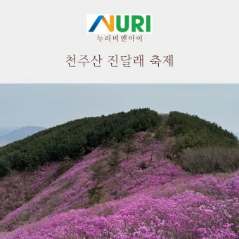천주산 진달래축제 등산코스 맛집_22