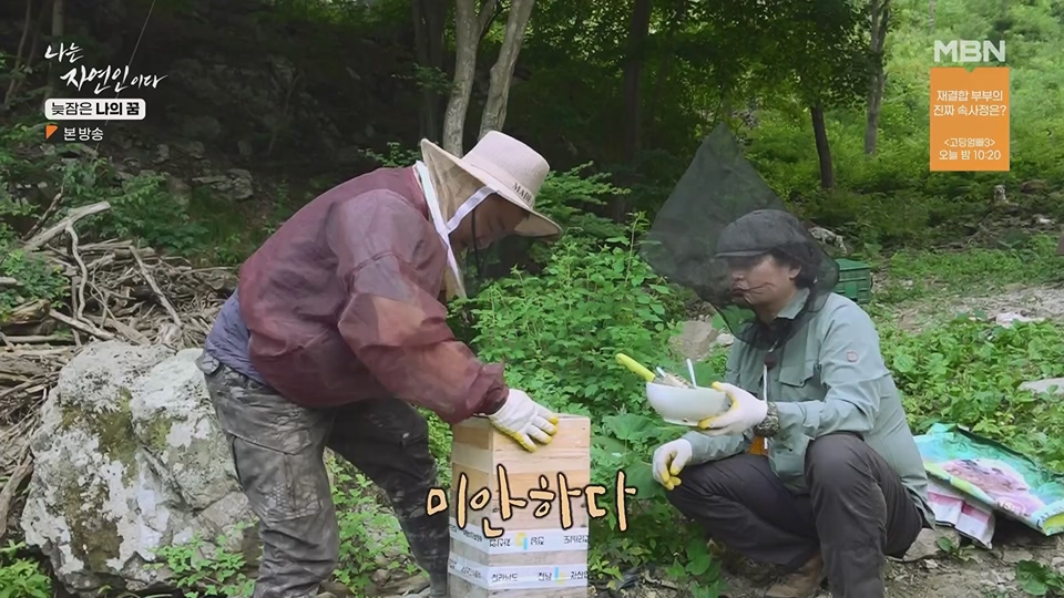 나는 자연인이다.E561.230705p.H264-F1RST.mp4_20230706_213041.646.jpg